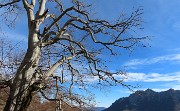 49 Bella vista in Alben